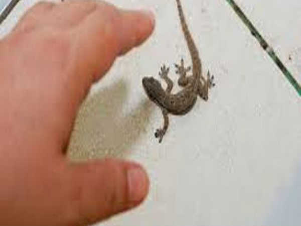 పురుషుడికి ఇలా..