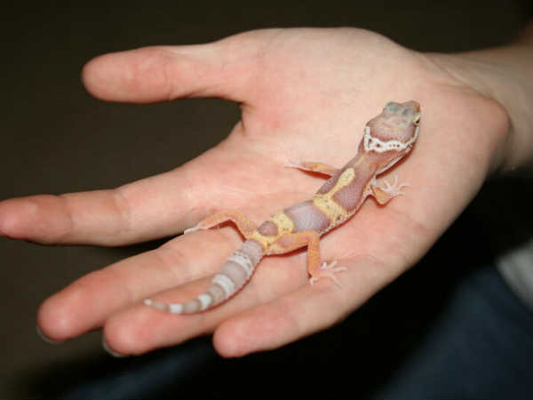 పురుషుడి విషయంలో ఇలా జరిగితే...