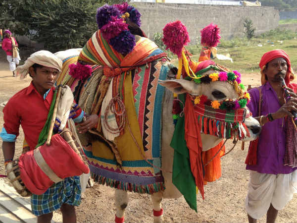 వారికి ప్రత్యామ్నాయం ఏదీ..