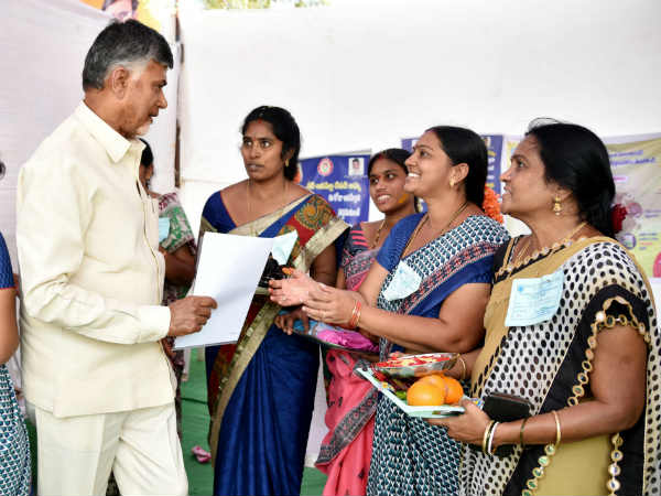 పులివెందులలో టీడీపీదే గెలుపు పులివెందులలో టీడీపీదే గెలుపు