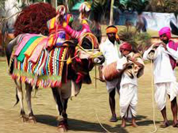  ముంగిళ్లలో ముగ్గులు...