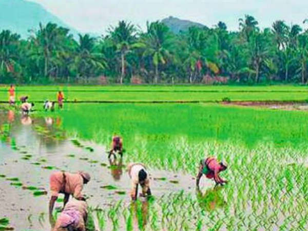 మూడు జిల్లాల్లో ఖాతాల్లో పంపిణీ చేయొద్దన్న రైతులు