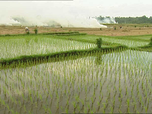  నగదు రూపంలో సాయం చేయాలని కోరిన 8 జిల్లాల అన్నదాతలు