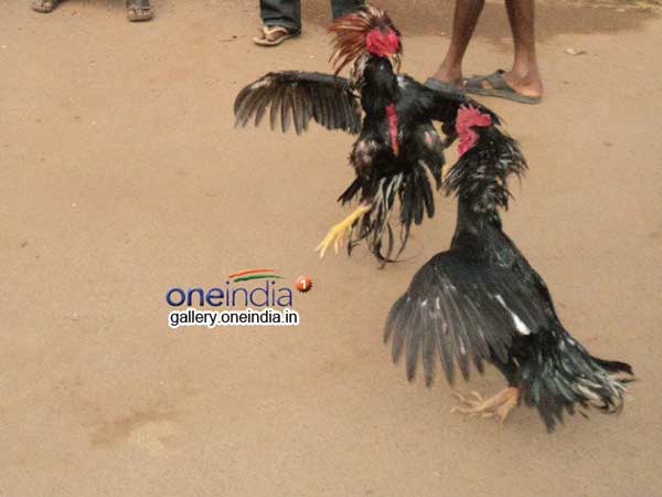  జోరుగా ఏర్పాట్లు...