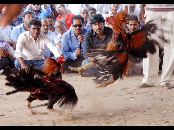 బరులకు...హైటెక్ హంగులు...