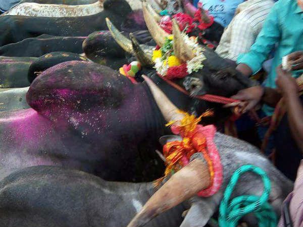 అనుమతి రాబట్టిందెవరో...