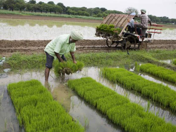  సాగునీటి రంగానికి నిధులు పెంచాలి