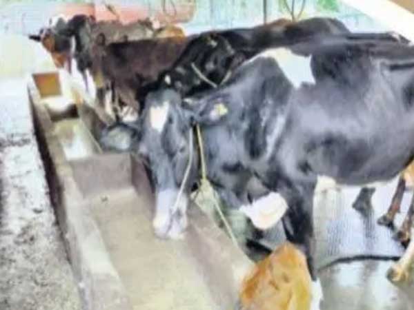 అయితే...ఆంధ్రప్రదేశ్ లో...రాయలసీమలో... అయితే...ఆంధ్రప్రదేశ్ లో...రాయలసీమలో...