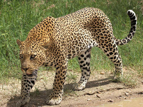 ఆ తరువాత మేము చూశాం...తిమ్మారెడ్డిపాలెం గ్రామస్తులు...