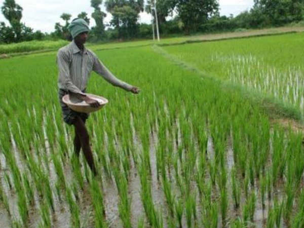  వ్యవసాయానికి ఉద్దీపన అమలు ఆవశ్యకత ఇది