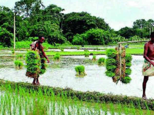 60 కోట్ల మంది అన్నదాతలను ఆనందింపజేస్తారా?