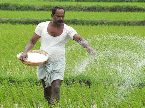 విపత్తుల వేళ సర్కార్ దీమా కల్పిస్తుందా?