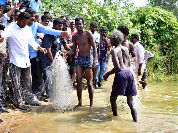 ఎవరి మీద ఏమని కోర్టుకు వెళ్తారు