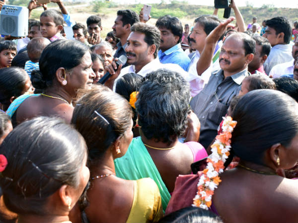 900 కి.మీ. పాదయాత్ర, రావిమొక్క నాటారు