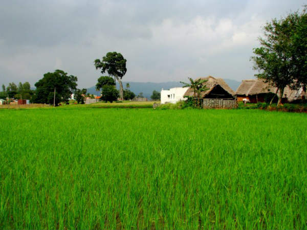  భూ సమీకరణకు...భూ సేకరణకు...తేడా ఉందంట...