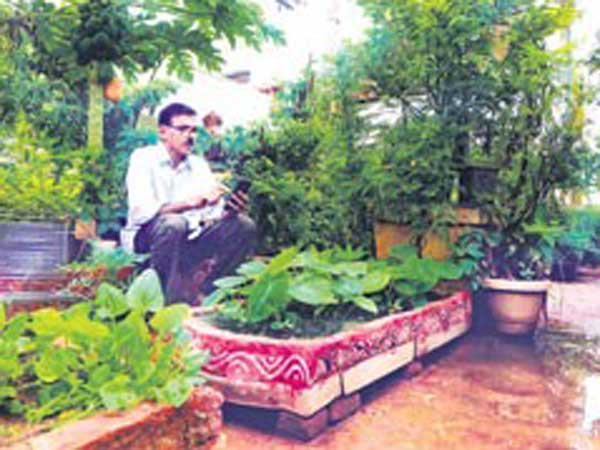 ఇటీవలే మార్కెట్లోకి... ఇటీవలే మార్కెట్లోకి...