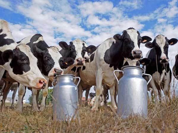  వ్యవసాయ అనుబంధ రంగాలపై పన్ను తగ్గించాలి