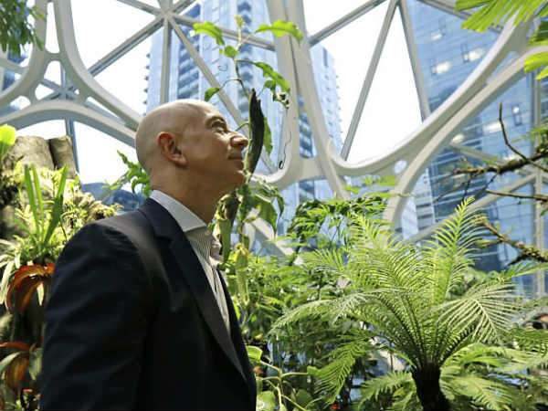 1969 నాటి చెట్టు ఎత్తుకొచ్చేశారు...