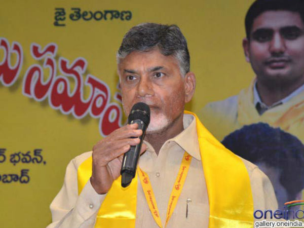 ఇలా చేయాలని చంద్రబాబు సూచన