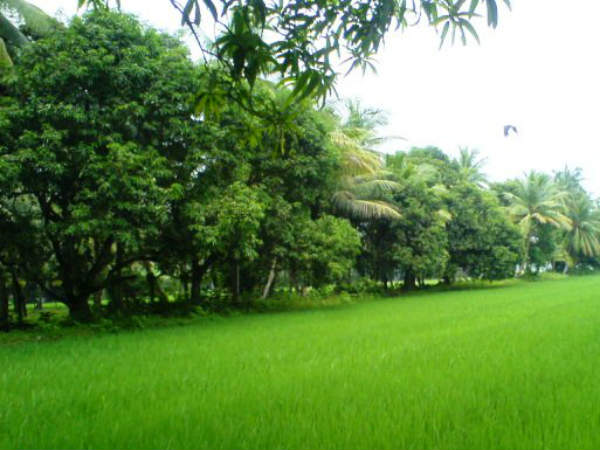 ఆ నివేదిక ప్రకారం ఇలా...