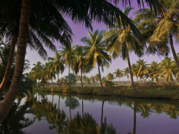 అగ్రస్థానంలో ఆంధ్రప్రదేశ్