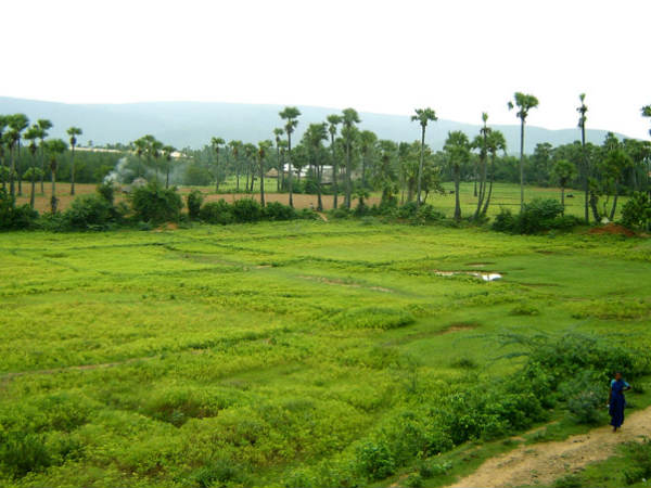నిరీక్షణ ఫలించింది...కానీ...అంతలోనే...