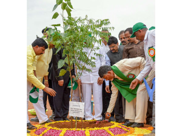 వనం మనం కార్యక్రమమేనా...