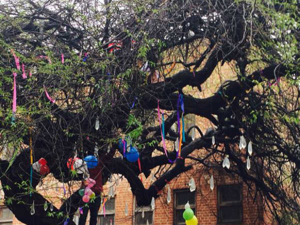 జాక్వెలిన్.. రణ్ వీర్..: జాక్వెలిన్.. రణ్ వీర్..: