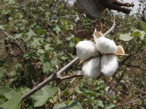 అనుమతి లేకుండానే..