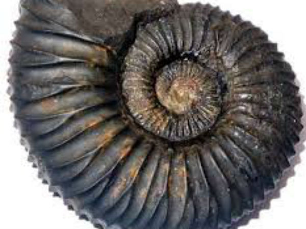 అది దొరకటం కష్టం 