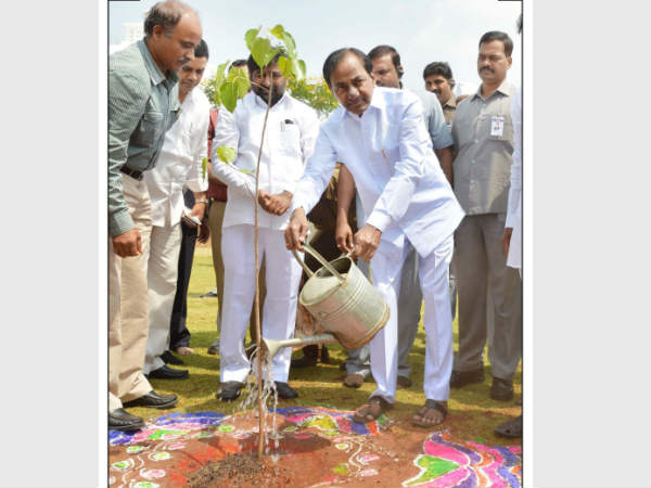 తెలంగాణలో ఇలా పెరిగింది...