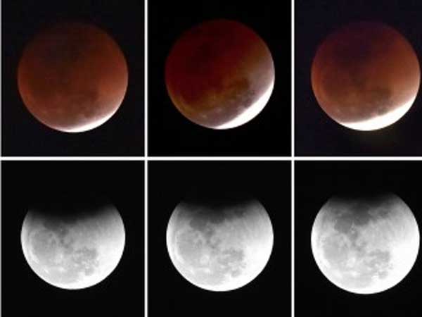  చంద్రగ్రహణం రోజు బలి ఇస్తే..