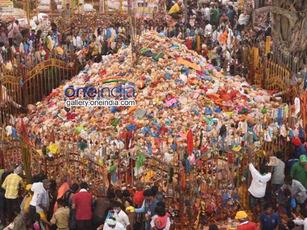 Chhattisgarh CM Raman Singh to Visit Medaram Today Chhattisgarh CM Raman Singh to Visit Medaram Today