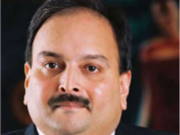 Probe NPAs Above Rs 50 Crore, Report Fraud to CBI: Govt to Public Sector Banks Probe NPAs Above Rs 50 Crore, Report Fraud to CBI: Govt to Public Sector Banks