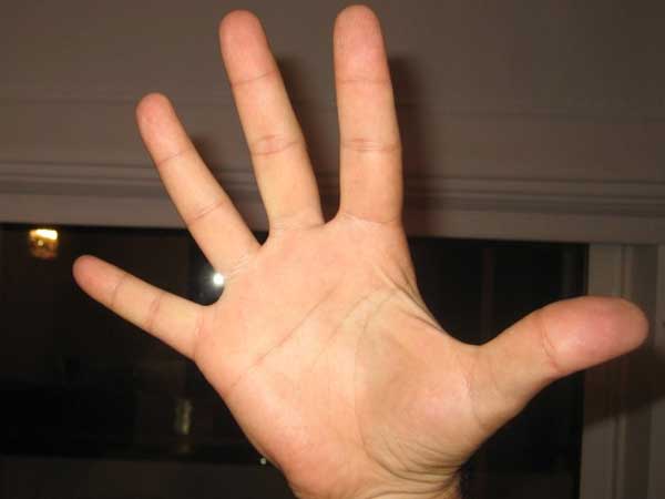 ఇలా ఉంటే సొంత తెలివితేటలు...