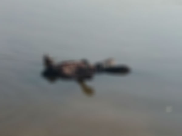 seven dead bodies at Vontimitta lake in Kadapa district