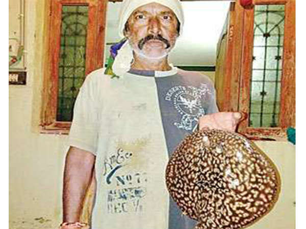 ఇదీ డేంజరే...షాక్ కొడుతుంది...