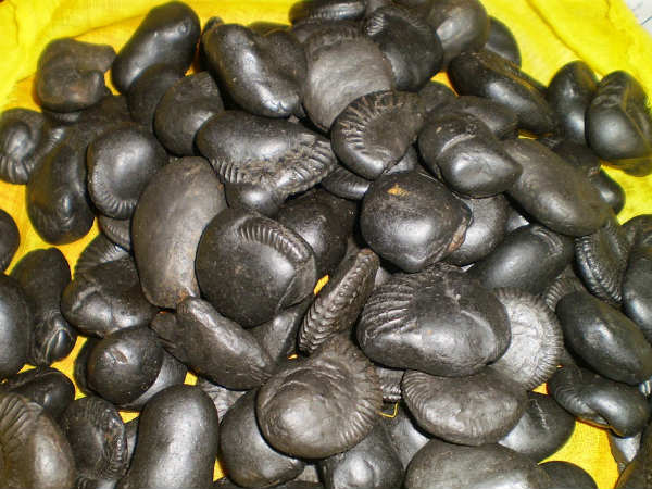 ప్రత్యేక సమయాల్లో, సంక్రమణాల్లో..