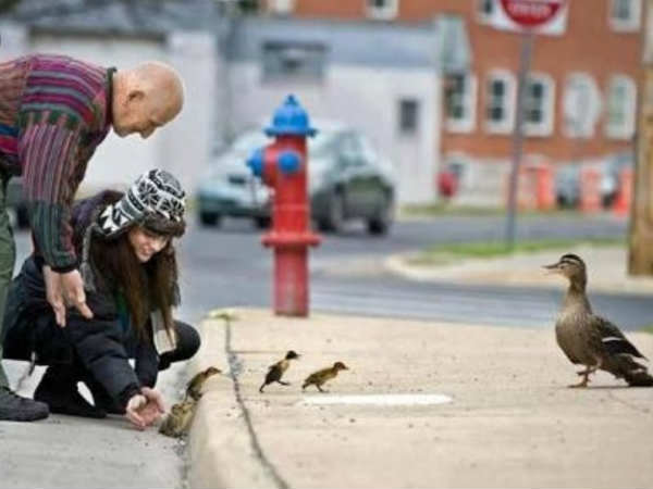 What is karama: How it will be understand?		