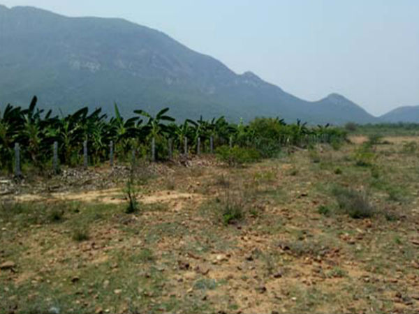 బెదిరింపులు...ప్రలోభాలు...