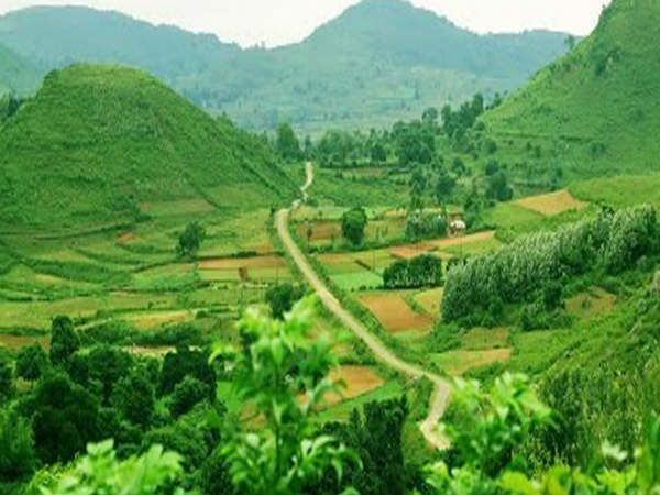 గిరిజనుల...ఆహారపు అలవాట్ల వల్ల