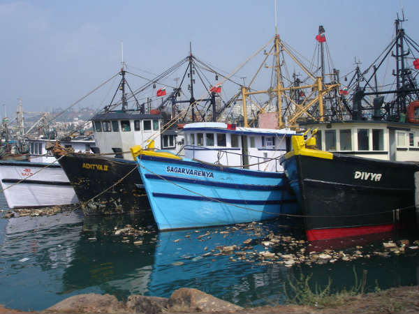 మాకు ఇష్టమైన...వేరే రంగు వేసుకోవద్దా?... మాకు ఇష్టమైన...వేరే రంగు వేసుకోవద్దా?...