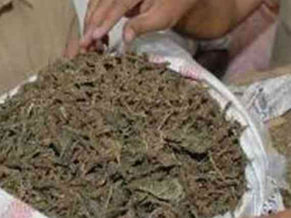 తప్పించుకున్నాడు...కానీ మళ్లీ దొరికాడు...