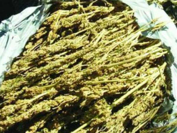 సంబంధాలు...స్పష్టమయ్యాయి...