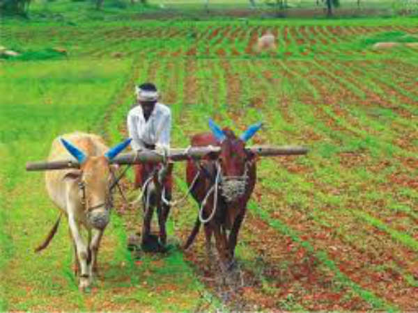 రైతులకు...క్రెడిట్ రేటింగ్ అంటే అయితే