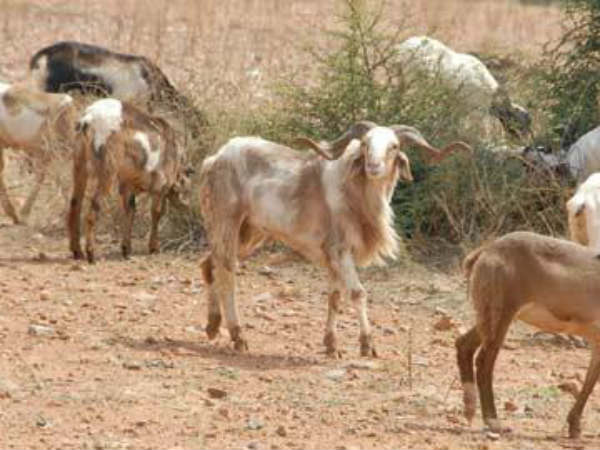 లోపాల సవరణ...మరింత ఆదాయ ఆర్జన లోపాల సవరణ...మరింత ఆదాయ ఆర్జన