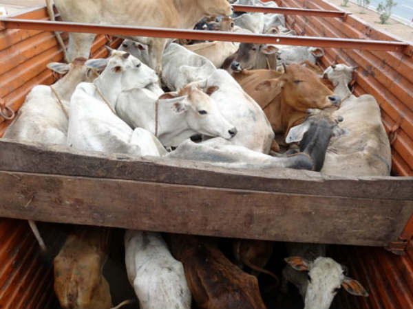 దందా...జరిగే వైనమిదే... దందా...జరిగే వైనమిదే...