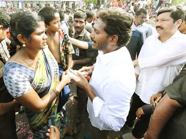  420కి బ్రాండ్ అంబాసిడర్