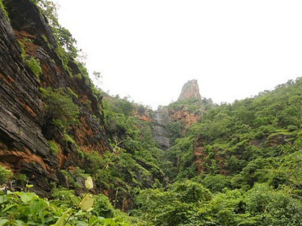 ఏడాది నుంచి...పరిశోధనలు