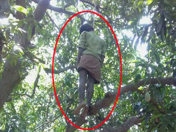 Its suicide ... but actually its honour killing Its suicide ... but actually its honour killing